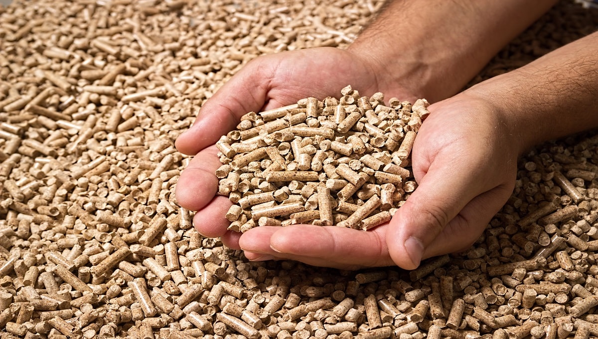 How are Wood Pellets Made?